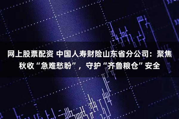 网上股票配资 中国人寿财险山东省分公司：聚焦秋收“急难愁盼”，守护“齐鲁粮仓”安全