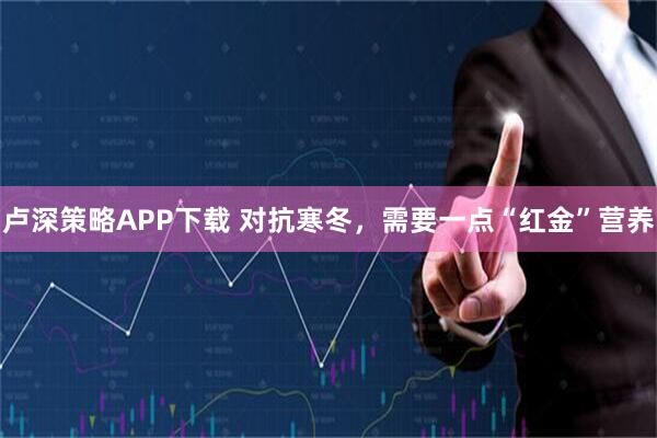 卢深策略APP下载 对抗寒冬，需要一点“红金”营养