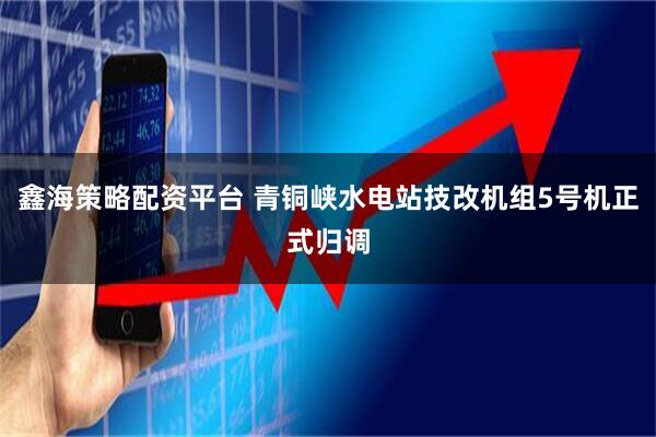 鑫海策略配资平台 青铜峡水电站技改机组5号机正式归调