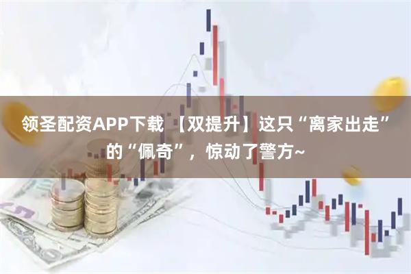 领圣配资APP下载 【双提升】这只“离家出走”的“佩奇”，惊动了警方~